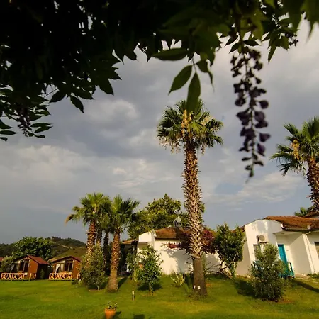 فندق Kasaba Butik 3*